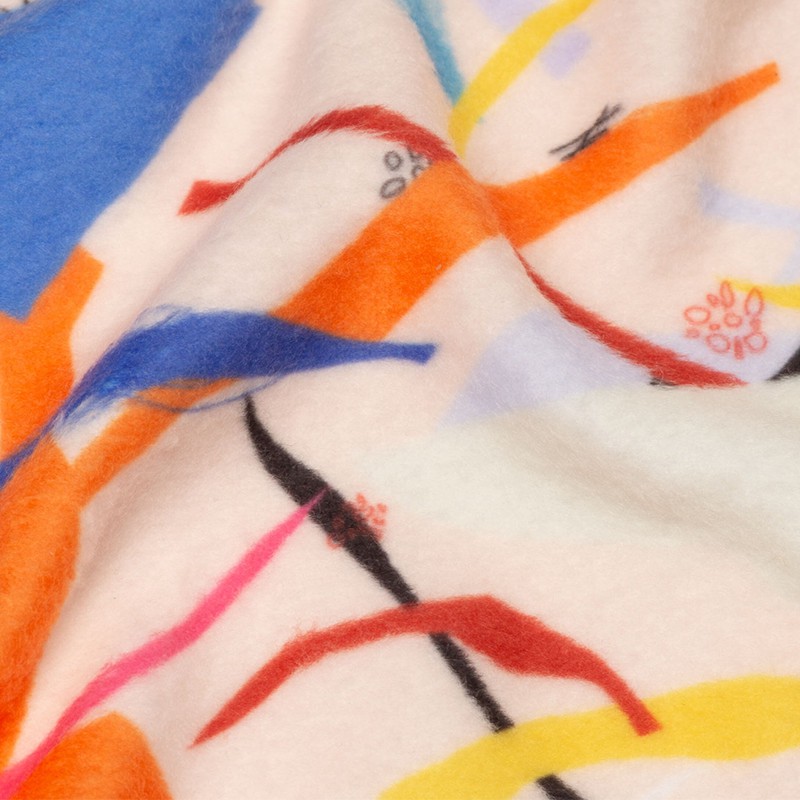 Printed Sweatshirt Fleece Fabric