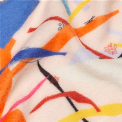Printed Sweatshirt Fleece Fabric
